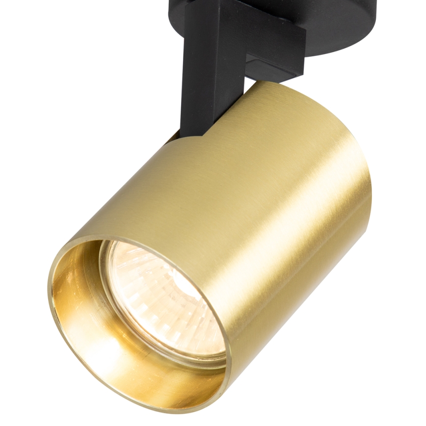 Spotlight VOLF 1xGU10/10W/230V guld/svart
