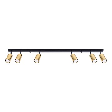 Spotlight WINX 6xGU10/10W/230V svart/guld