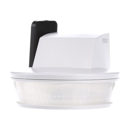 STEINEL 034955 - Utomhuslampa med rörelsesensor SenslQ S vit IP54 + fjärrkontroll