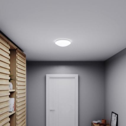 STEINEL 035105 - LED Badrumsbelysning med sensor RS 16 LED/9,5W/230V IP44