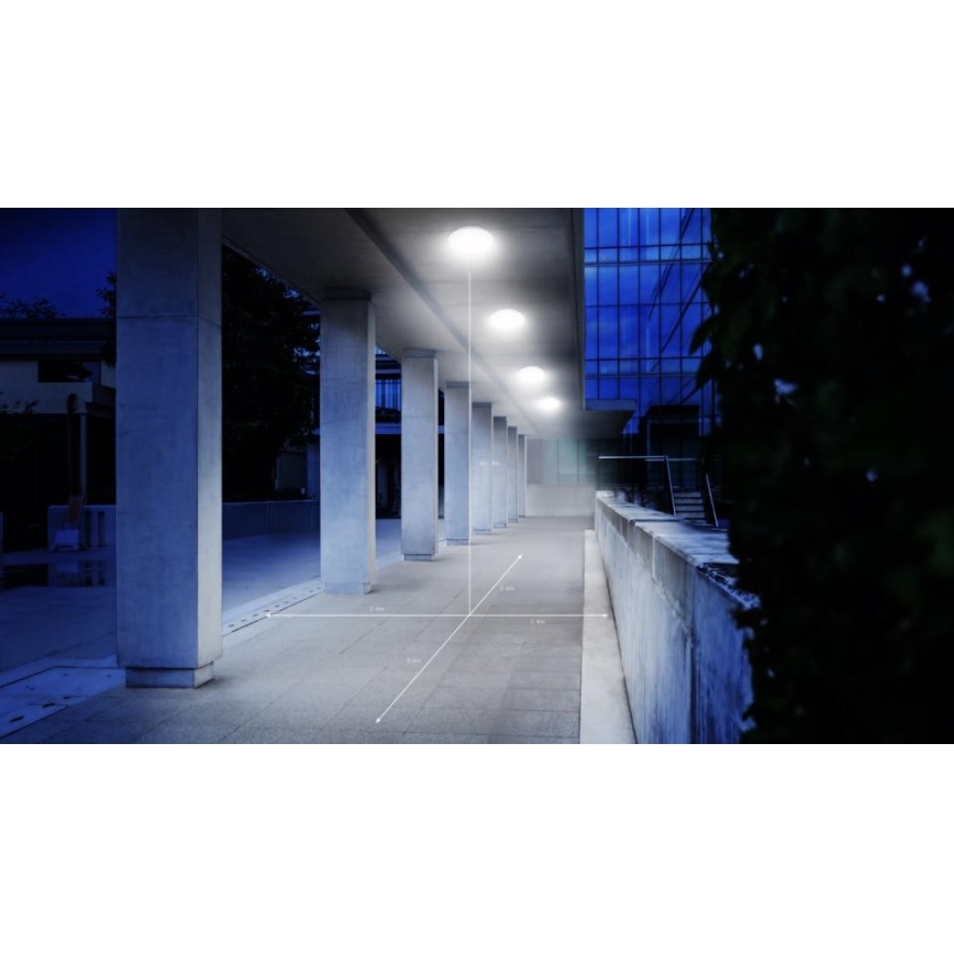 Steinel 035440 - LED Utomhusbelysning med sensor QUATTRO LED/10W/230V IP54