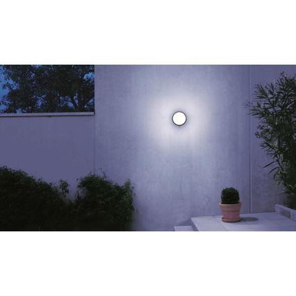STEINEL 053079 - LED Utomhus vägglampa med sensor L330 LED/9W/230V 3000K IP44