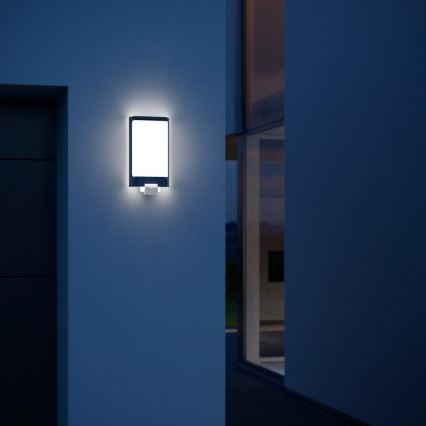 Steinel 056506 - LED Utomhusbelysning med sensor L 240 LED/7,5W/230V IP44