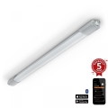 Steinel 058739 - LED tekniskt arbetsljus med sensor RS PRO 5150SC LED/42W/230V IP66 4000K