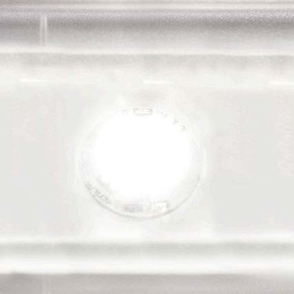 STEINEL 065706 - LED Utomhus Väggbelysning med sensor LED/12,5W/230V IP44