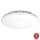 Steinel 068042 - LED taklampa med en sensor RS PRO S30 SC 25,8W/230V 4000K