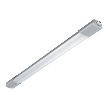 Steinel 079161 - LED arbetsbelysning med sensor och nödmodul RS PRO 5100 SC LED/31W/230V IP66 4000K
