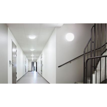 Steinel 081096 - LED Taklampa med sensor RS PRO S10 SC LED/9,1W/230V 3000K