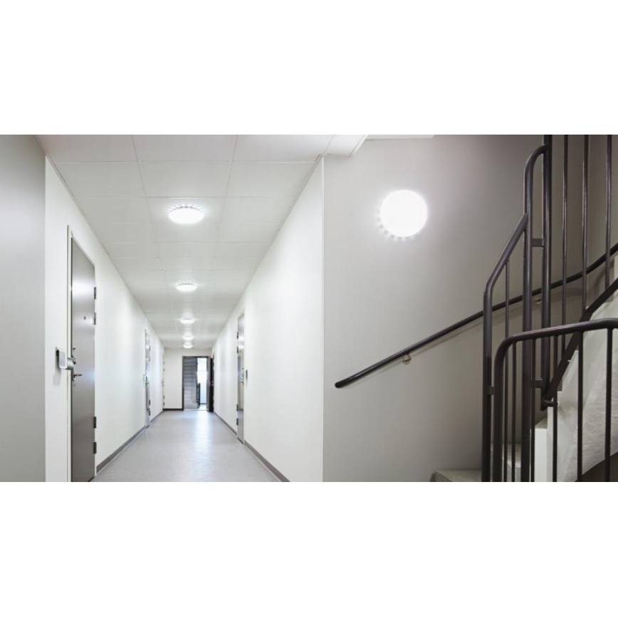 Steinel 081935 - SET 5x LED Taklampa med sensor RS PRO S10 SC LED/9,1W/230V 3000K