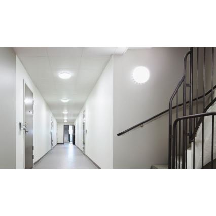 Steinel 081959 - SET 5x LED Taklampa med sensor RS PRO S20 SC LED/15,7W/230V 3000K