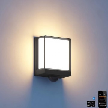 Steinel 085247 - LED Ljusreglerad vägglampa med sensor för utomhusbruk L40SC LED/12,9W/230V