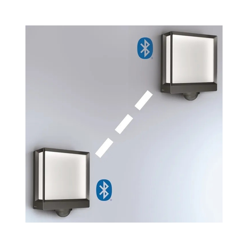 Steinel 085247 - LED Ljusreglerad vägglampa med sensor för utomhusbruk L40SC LED/12,9W/230V