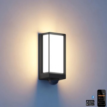 Steinel 085261 - LED Ljusreglerad vägglampa med sensor för utomhusbruk L42SC LED/13W/230V IP54