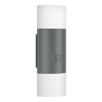 Steinel 576202 - LED Utomhus Väggbelysning med sensor L 910 LED/9,8W/230V