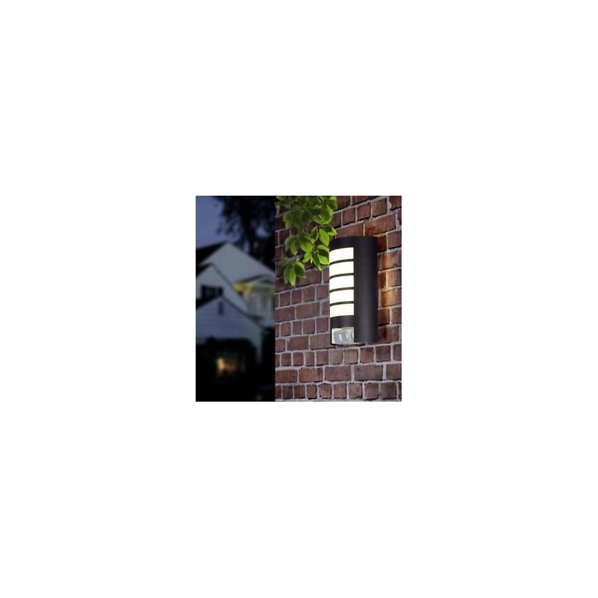STEINEL 657819 - Utomhusbelysning med sensor L12 1xE27/60W/230V IP44