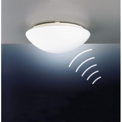 STEINEL 738013-RS16L - Utomhus Takbelysning med sensor 1xE27/60W/230V IP44