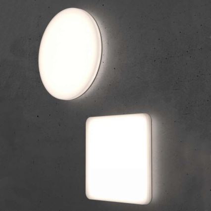 Steinel 067816 - LED Dimbar lampa med sensor RS PRO R10 BASIC SC LED/8,5W/230V 3000K IP40