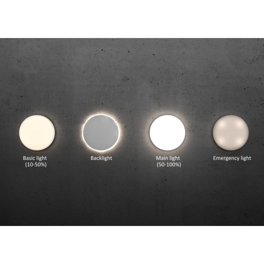 Steinel - LED Dimbar taklampa med sensor RSPROR20BASIC 15,3W/230V IP40 3000K