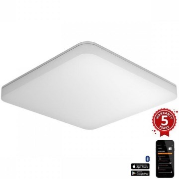 Steinel - LED Dimbar taklampa med sensor RSPROR20BASICQ 15,3W/230V IP40 4000K