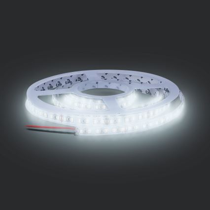 LED ljusslinga  LED/50W/12V 5m kall vit