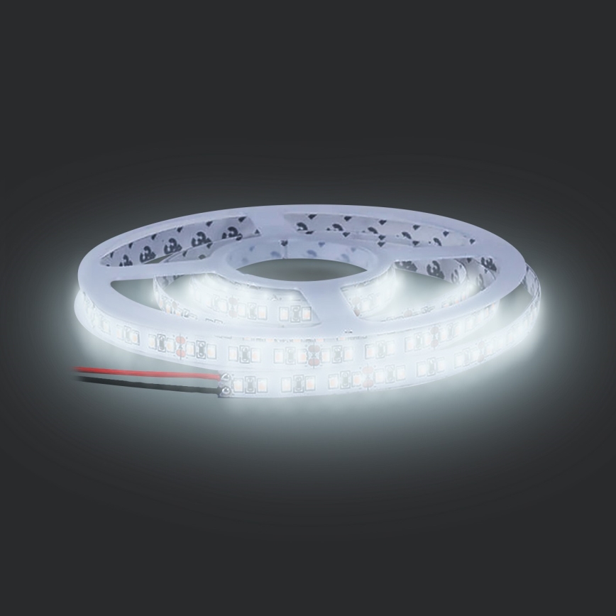 LED ljusslinga  LED/50W/12V 5m kall vit