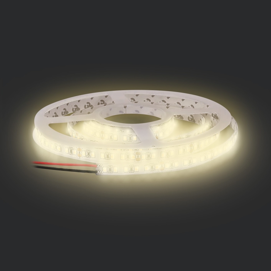 LED ljusslinga  LED/50W/12V 5m varm vit