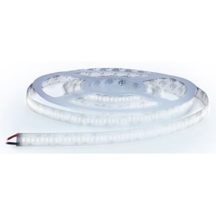 LED ljusslinga  LED/80W/12V 5m kall vit