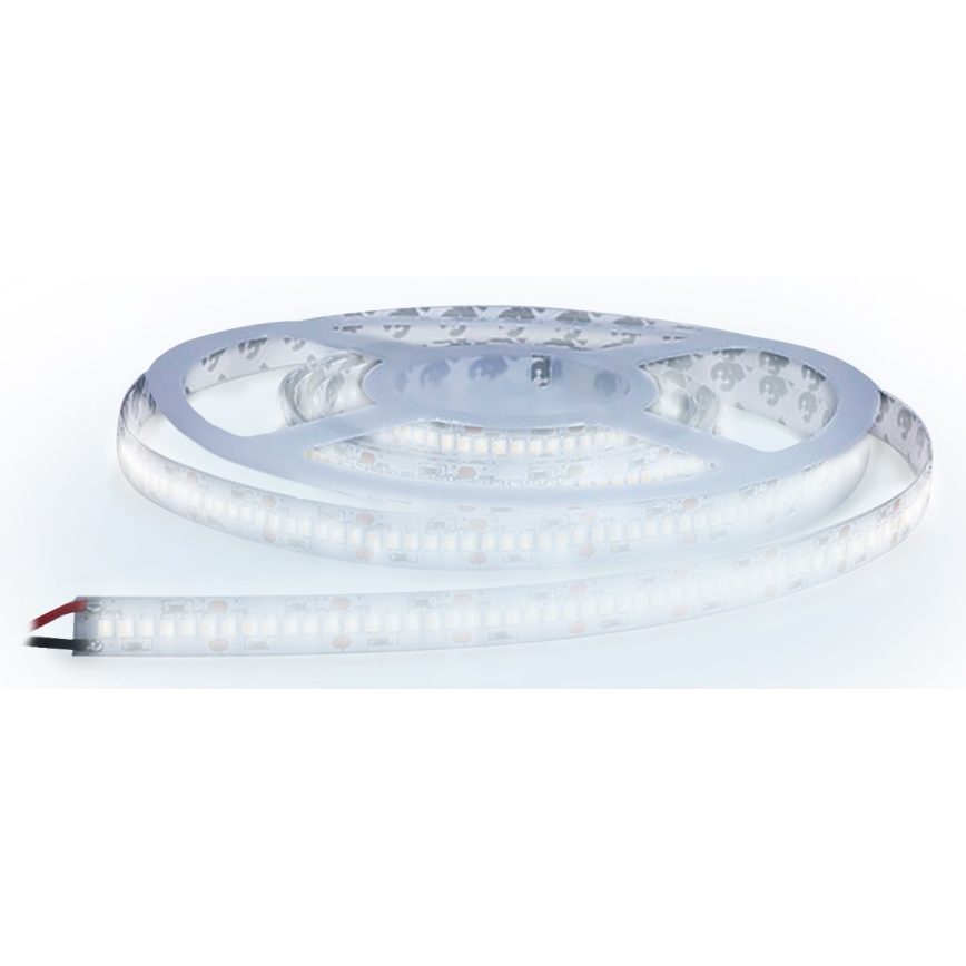 LED ljusslinga  LED/80W/12V 5m kall vit