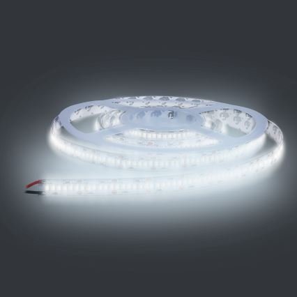 LED ljusslinga  LED/80W/12V 5m kall vit