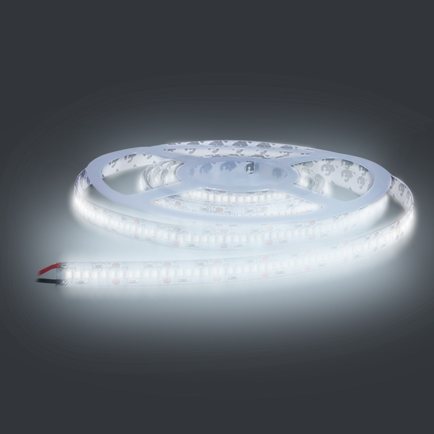 LED ljusslinga  LED/80W/12V 5m kall vit
