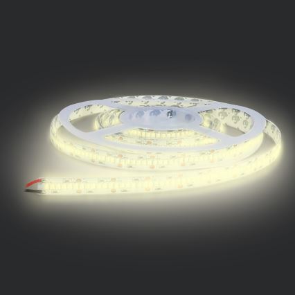 LED ljusslinga  LED/80W/12V 5m varm vit