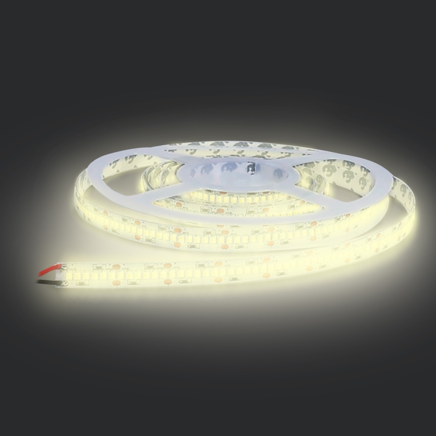 LED ljusslinga  LED/80W/12V 5m varm vit