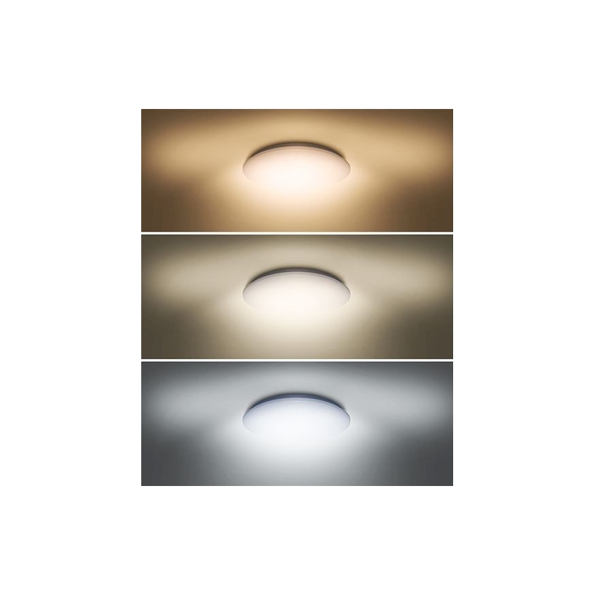 LED taklampa PLAIN LED/24W/230V 3000K/4000K/6000K rund 