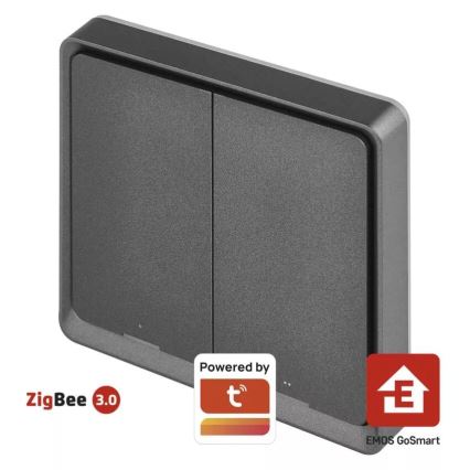 Switch 2-knapp GoSmart Tuya svart