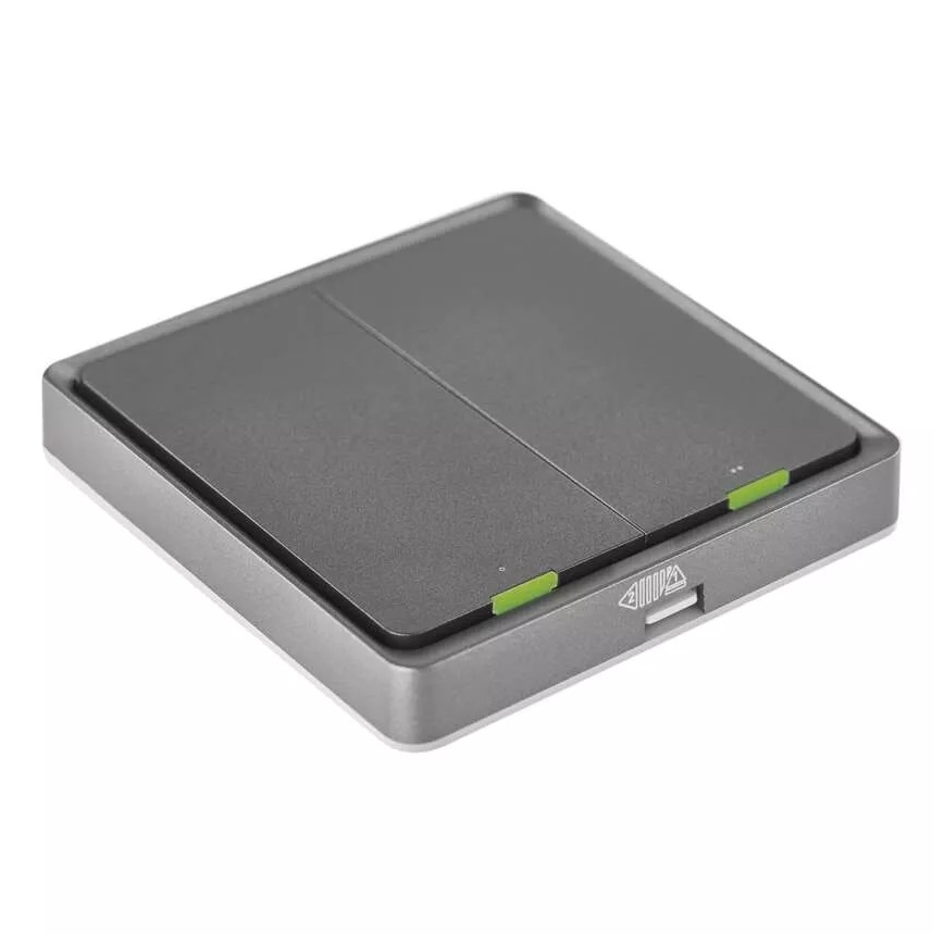 Switch 2-knapp GoSmart Tuya svart