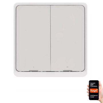 Switch 2-knapp GoSmart Tuya vit
