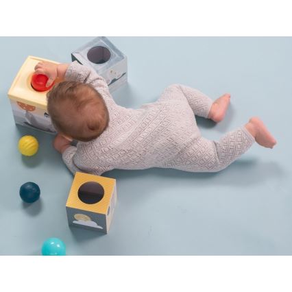 Taf Toys - Interaktivt lekset PLEASE TRANSLATE
