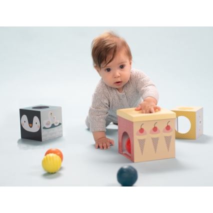 Taf Toys - Interaktivt lekset PLEASE TRANSLATE
