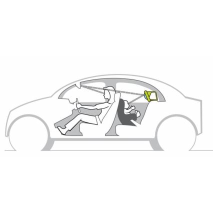 Taf Toys - Koala in car play center