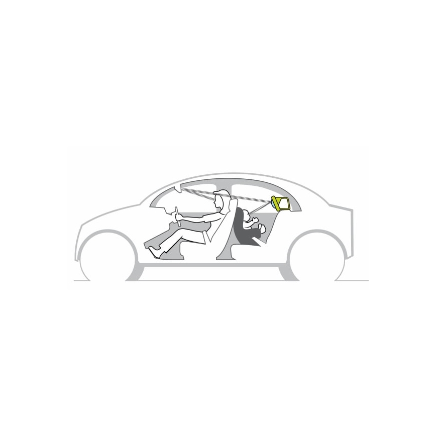 Taf Toys - Koala in car play center