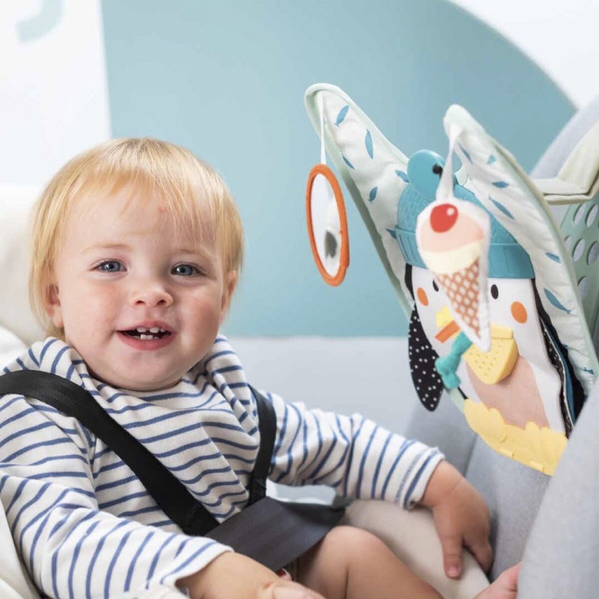 Taf Toys - Penguin play & kick car toy