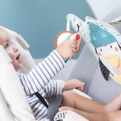 Taf Toys - Penguin play & kick car toy