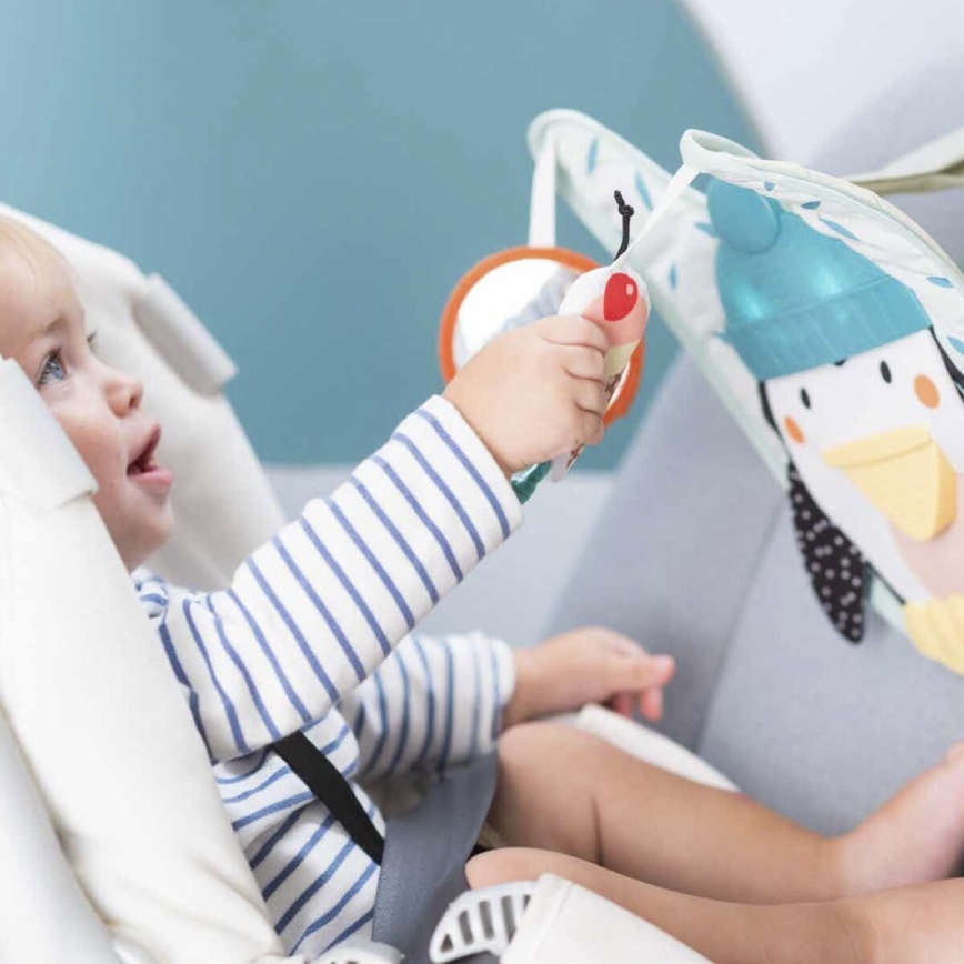 Taf Toys - Penguin play & kick car toy