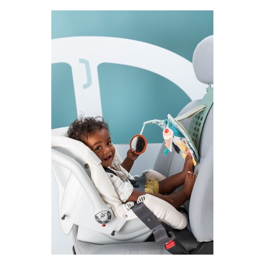 Taf Toys - Penguin play & kick car toy
