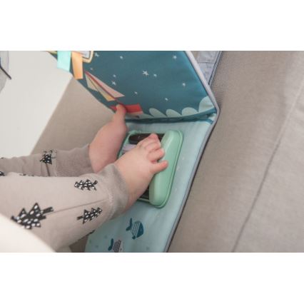 Taf Toys - PLEASE TRANSLATE feet fun car toy