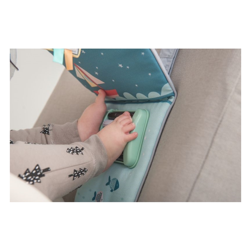 Taf Toys - PLEASE TRANSLATE feet fun car toy