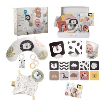 Taf Toys - PLEASE TRANSLATE HELLO BABY