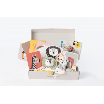 Taf Toys - PLEASE TRANSLATE HELLO BABY