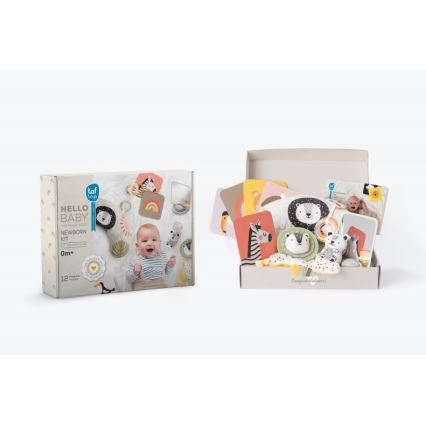Taf Toys - PLEASE TRANSLATE HELLO BABY