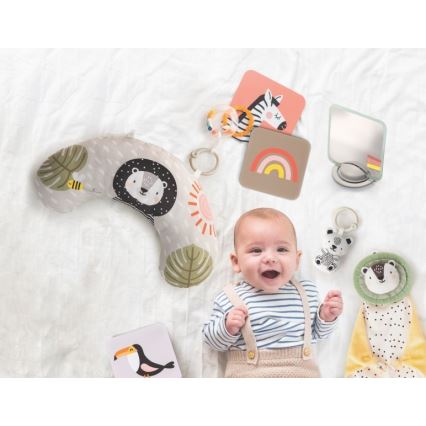 Taf Toys - PLEASE TRANSLATE HELLO BABY